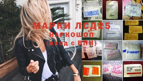 индика Заволжск