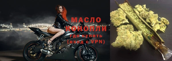 индика Заволжск