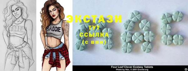 индика Заволжск