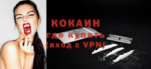 индика Заволжск