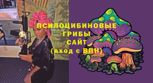 индика Заволжск