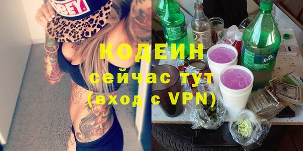 индика Заволжск