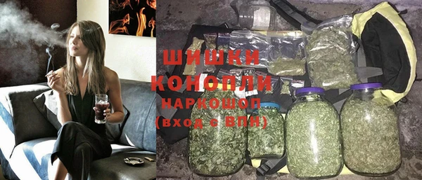 индика Заволжск