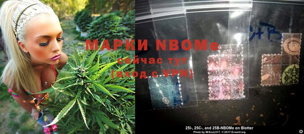 индика Заволжск