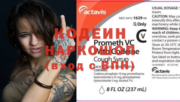 индика Заволжск