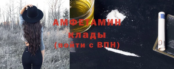 индика Заволжск