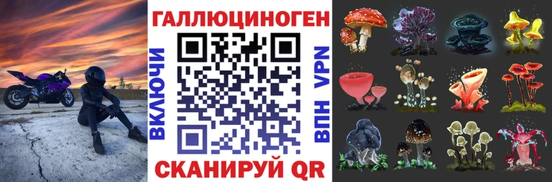 Купить закладки Малоярославец Псилоцибиновые грибы MAGIC MUSHROOMS